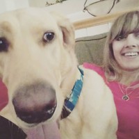 Profile Picture of Kelly Brask (@kelly-brask) on Quora