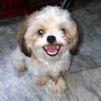 Abigail Ambrosio - Quora Profile Picture of Abigail Ambrosio (@abigail-ambrosio-2) on Quora