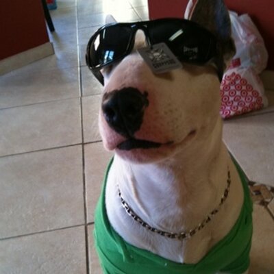 Profile Picture of Nicole Gagliano (@NicoleMGagliano) on Twitter