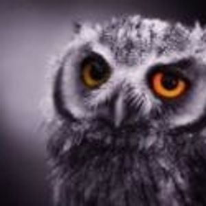 Profile Picture of Syed Ansar (@103902615) on Myspace