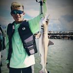 Profile Picture of Rob Cormier Jr.#026 (@rob_cormier_jr) on Instagram