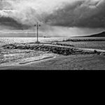 Profile Picture of willardhortons (@willardhortons) on Instagram