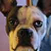 Profile Picture of jim brennan (@jim brennan) on Flickr