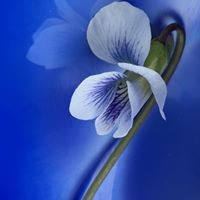 Profile Picture of Mostafa Rahbar (@mostafa-rahbar) on Quora