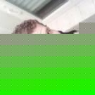 Profile Picture of Andre Neugebauer (@280850310) on Myspace