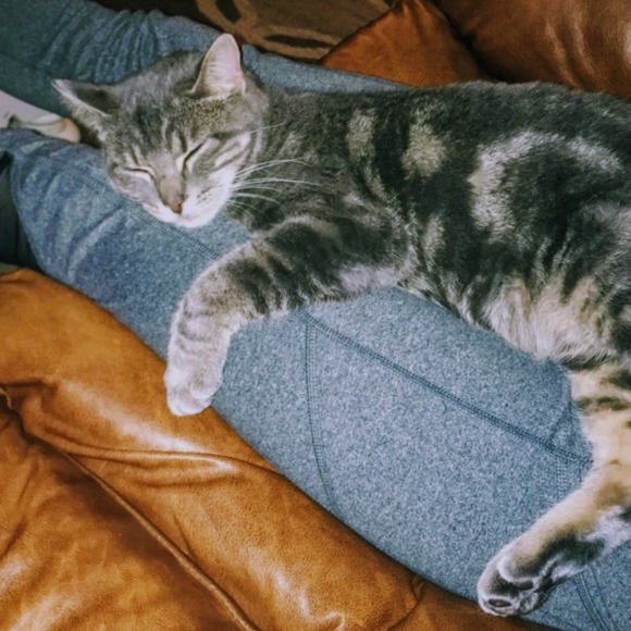 Profile Picture of Mya Neperud (@myajean7) on Poshmark