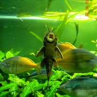 Profile Picture of Tara Mcginn (@tara-mcginn-2) on Quora