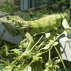 Profile Picture of Richard Pegues (@261082543) on Myspace