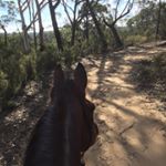 Profile Picture of Michelle Maddock (@michelle.maddock.186) on Instagram