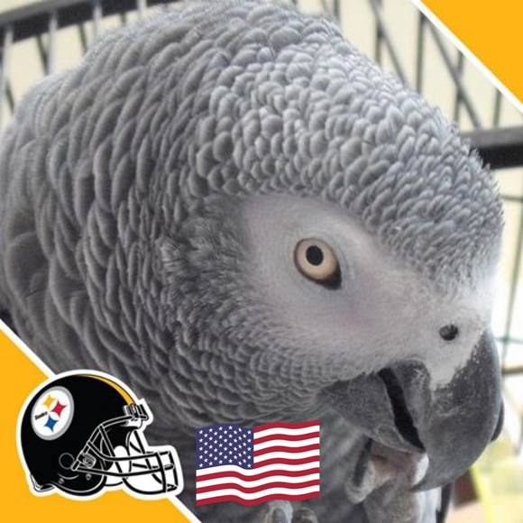 Profile Picture of Kaye Donivan (@kbrd1) on Poshmark