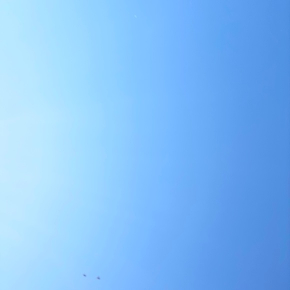 Profile Picture of Ashlee Boozer (@ashleeboozer) on Poshmark