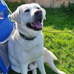 Profile Picture of Michael Greubel (@michael.greubel.7) on Instagram