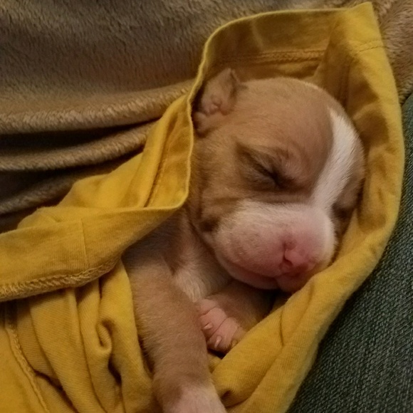 Profile Picture of Tamika Fowler (@baewatchme) on Poshmark