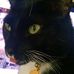 Profile Picture of Joshua Yoder (@joshua.yoder.779) on Facebook