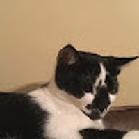 Profile Picture of Eleanor Bloom (@eleanor-bloom-1) on Quora