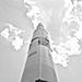 Profile Picture of Aaron Peavy (@aaronp0930) on Pinterest