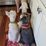 Profile Picture of Tami Hamby (@tami.hamby1) on Instagram