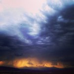 Profile Picture of Tina Maness (@reportszinroyal) on Instagram