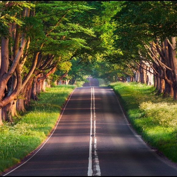 Profile Picture of Jeremiah Shields (@jeremiahshi194) on Poshmark