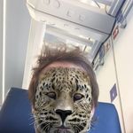 Profile Picture of John Piccinelli (@johnpiccinelli) on Instagram