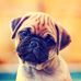 Profile Picture of Daniel Farrugia (@daniel.farrugia.75248) on Facebook