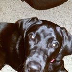 Profile Picture of John Masterson (@john.masterson.965) on Instagram