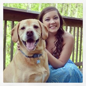 Profile Picture of Briana Bishop (@bmcbishop) on Pinterest