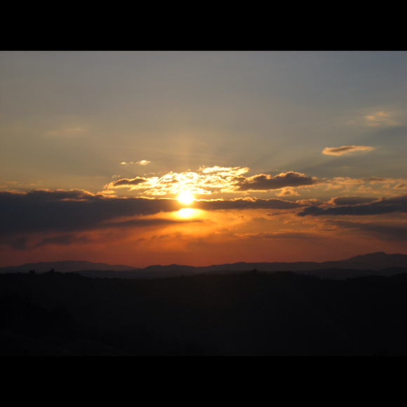 Profile Picture of Christine Albee (@revere69) on Poshmark