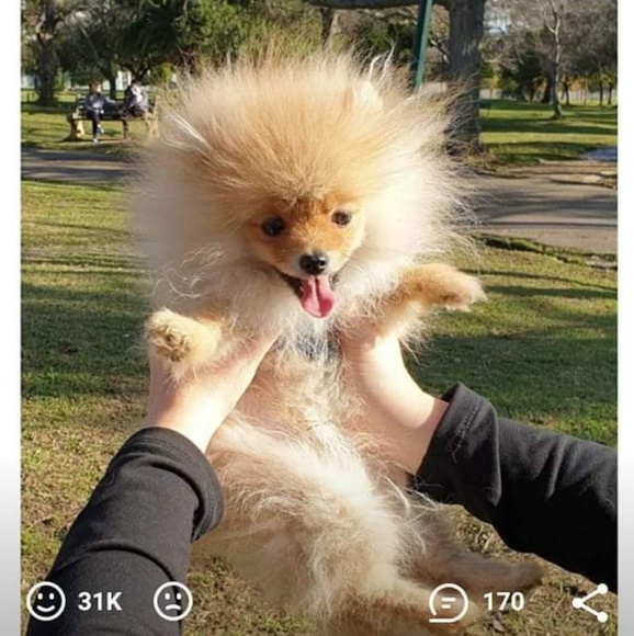 Profile Picture of Richard Fain (@death1298) on Poshmark