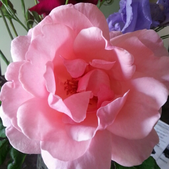 Profile Picture of Keilah Forgey (@keilahforgey) on Poshmark