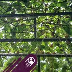 Profile Picture of Lampu Karya (@lampu.karya) on Facebook