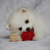 Profile Picture of Genesis Ortiz (@GenesisOrtiz-xs8yd) on Youtube