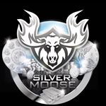 Profile Picture of Chris (@the_silver_moose) on Instagram