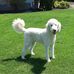 Profile Picture of William Noll (@william.noll.940) on Facebook