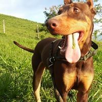 Profile Picture of Cesar Giraldo Naranjo (@cesargiraldo110) on Pinterest