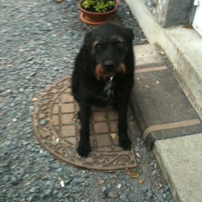 Profile Picture of John Foy (@foyser) on Twitter