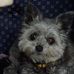 Profile Picture of Carol Lattimer (@carol.lattimer.1) on Facebook