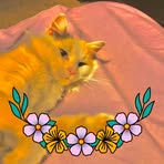 Audree Keel - Facebook Profile Picture of Audree Keel (@Audree-Keel) on Facebook