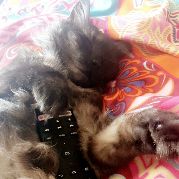 Profile Picture of Kirah Laurance (@kirah04) on Poshmark