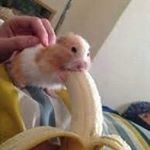 Profile Picture of bunaitizic (@bunaitizic) on Instagram