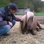 Michael Blase - Instagram Profile Picture of Michael Blase (@michaelbl66) on Instagram