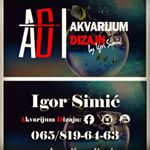 Profile Picture of Igor Simic (@akvarijum_dizajn) on Instagram