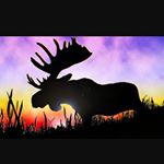 Profile Picture of Steven Moose (@smoose23) on Instagram