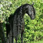 Profile Picture of Clevio Cristo (@clevio.cristo.9) on Facebook