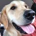 Profile Picture of Sheryl Davey (@sheryl.davey.3) on Facebook