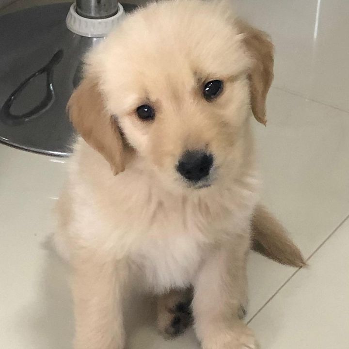 Profile Picture of Adam_he_man (@adam_he_man) on Tiktok