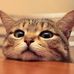 Profile Picture of Hsing  Liu (@hsing.liu.14) on Facebook
