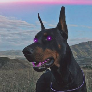 Profile Picture of Данил Петрович Павлюцки (@&) on Facebook
