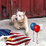 Profile Picture of Scott H Ewald (@ewaldscott) on Instagram
