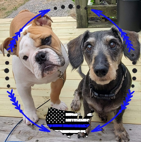 Profile Picture of Scott Day (@sedsjm) on Poshmark